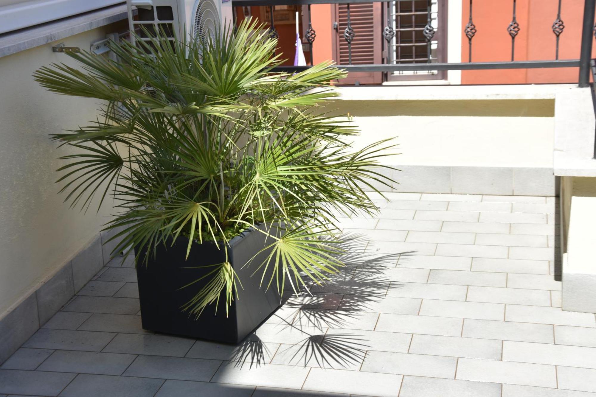 Diasof Apartments Rzym Zewnętrze zdjęcie