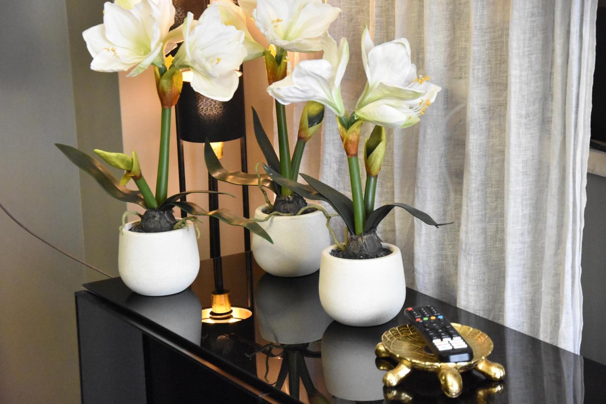 Diasof Apartments Rzym Zewnętrze zdjęcie